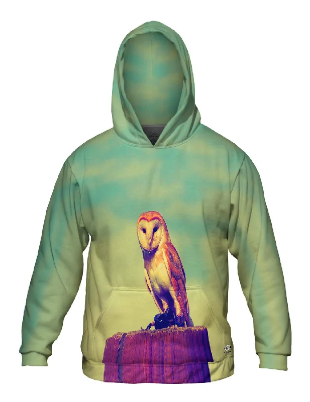 Chill Vibe Hoodie-Watching Owl