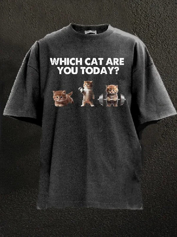 Lightweight Casual T-Shirt-WHICH CAT ARE YOU TODAY Washed Gym Shirt