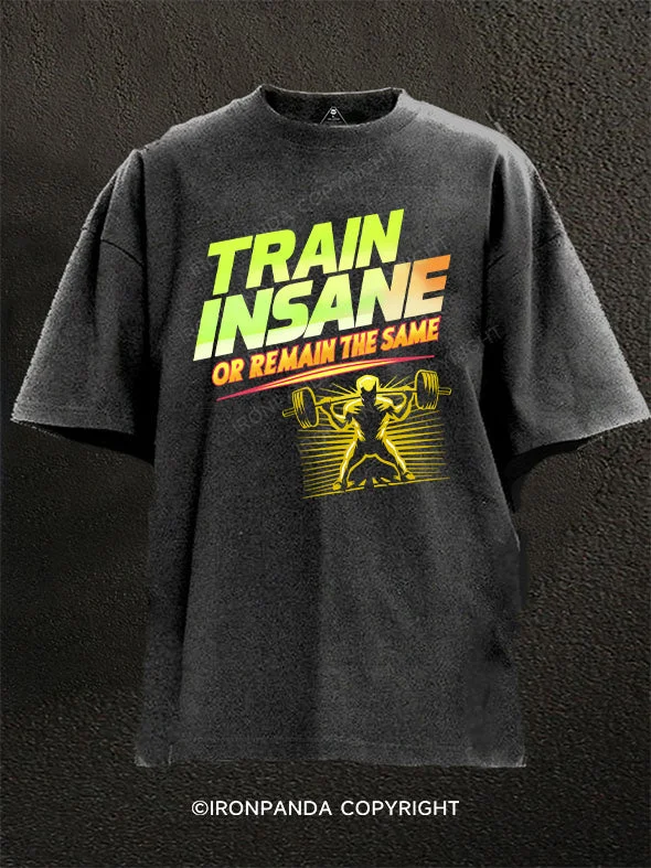 Cool T-Shirt-Train insane or remain the same Washed Gym Shirt