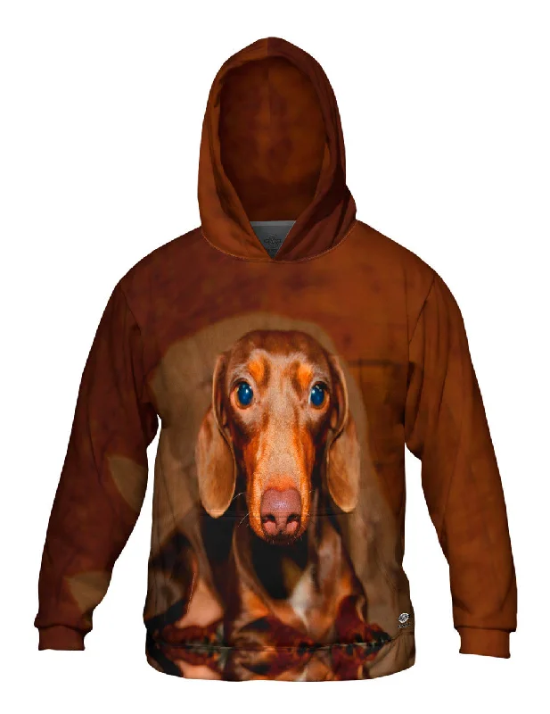 Heavy Cotton Hoodie-Dachshund Cuteness