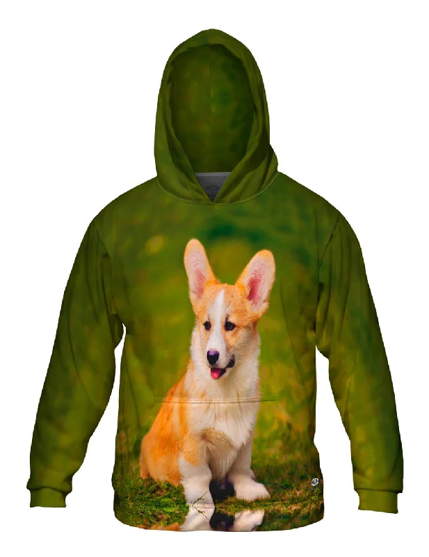 Distressed Hoodie-Pembroke Welsh Corgi Puppy