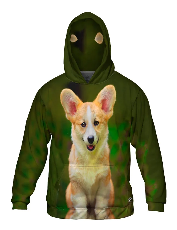 Contrast Stitch Hoodie-Pembroke Welsh Corgi Dog