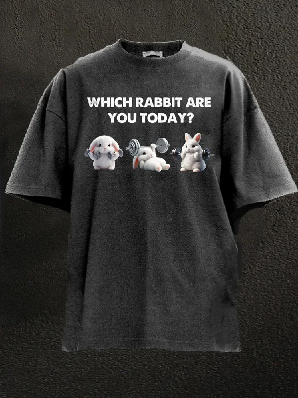 Modern Fit T-Shirt-which rabbit are you today Washed Gym Shirt