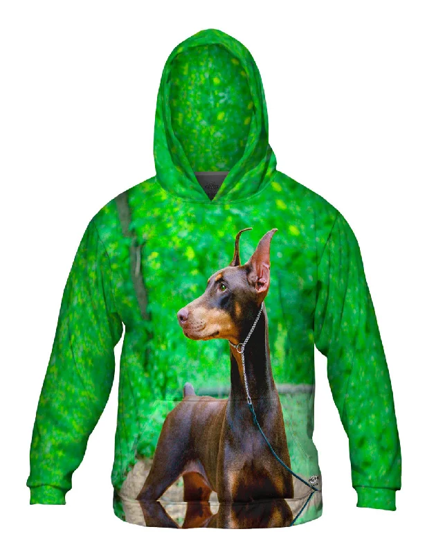 Washed Hoodie-Doberman Pinscher Perfection