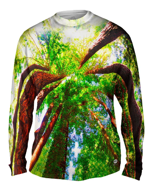 Embroidered Long Sleeve-Redwoods Sunlight Coming From Above