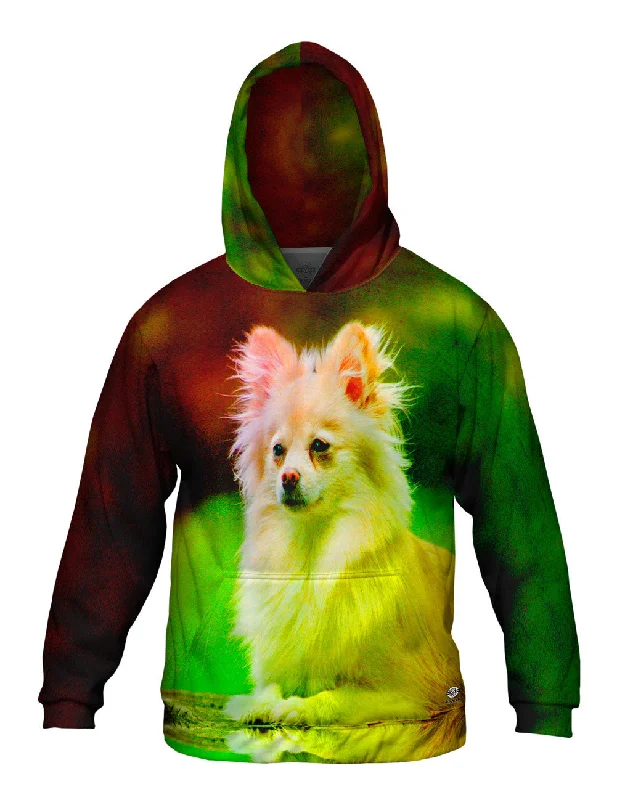 Travel Hoodie-Pomeranian Puppy